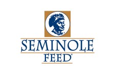 seminole.jpg